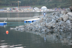 IMG_3323